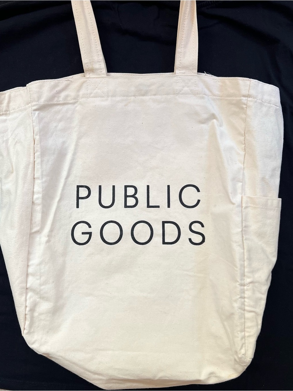 Public Goods Canvas Tote Bag in Natural